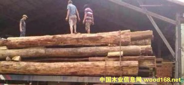 �ϓ뻨֦�����S̴ԭľ