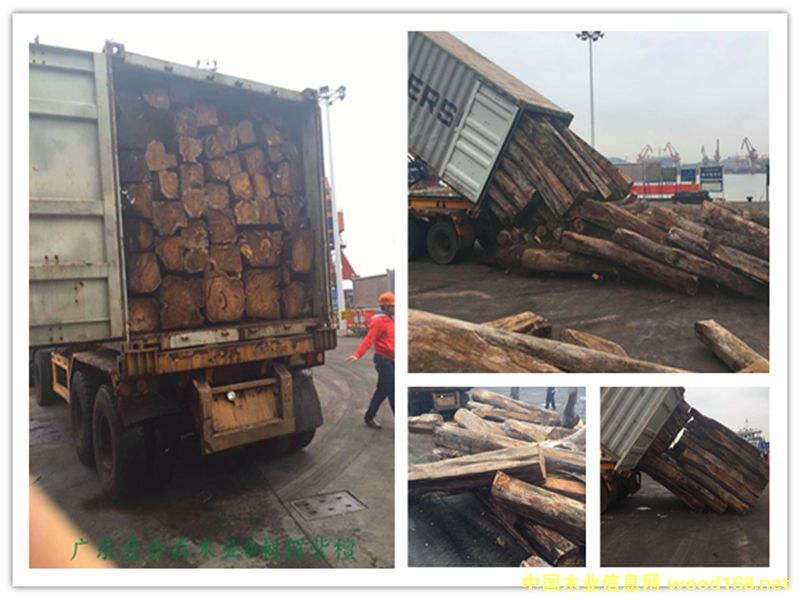 �����̴��Ԕ����B