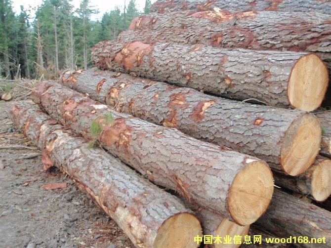 ݗ����ԭľ��Ԕ��(x��)��B