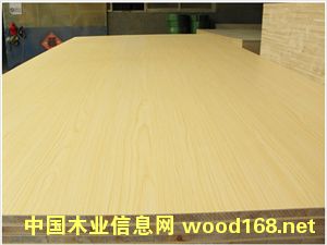 �R�������B(t��i)���Ԕ��(x��)��B