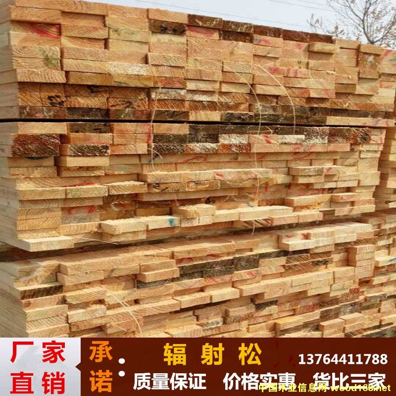 �c���鿴ݗ���ɷŴ�DƬ