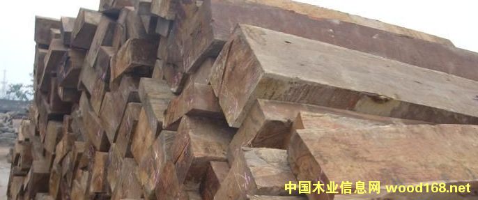 ���黨��ľԭľ