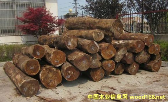 ���l(f��)���~��˼�R����˼ľ 