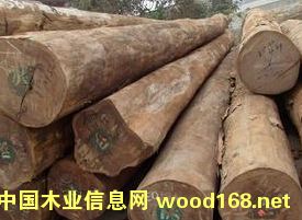 ���l(f��)���~�t̴ԭľ