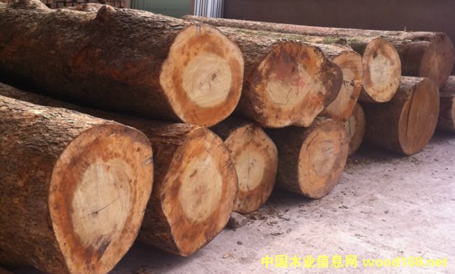 ���ۇ���(n��i)��ͩľԭľ