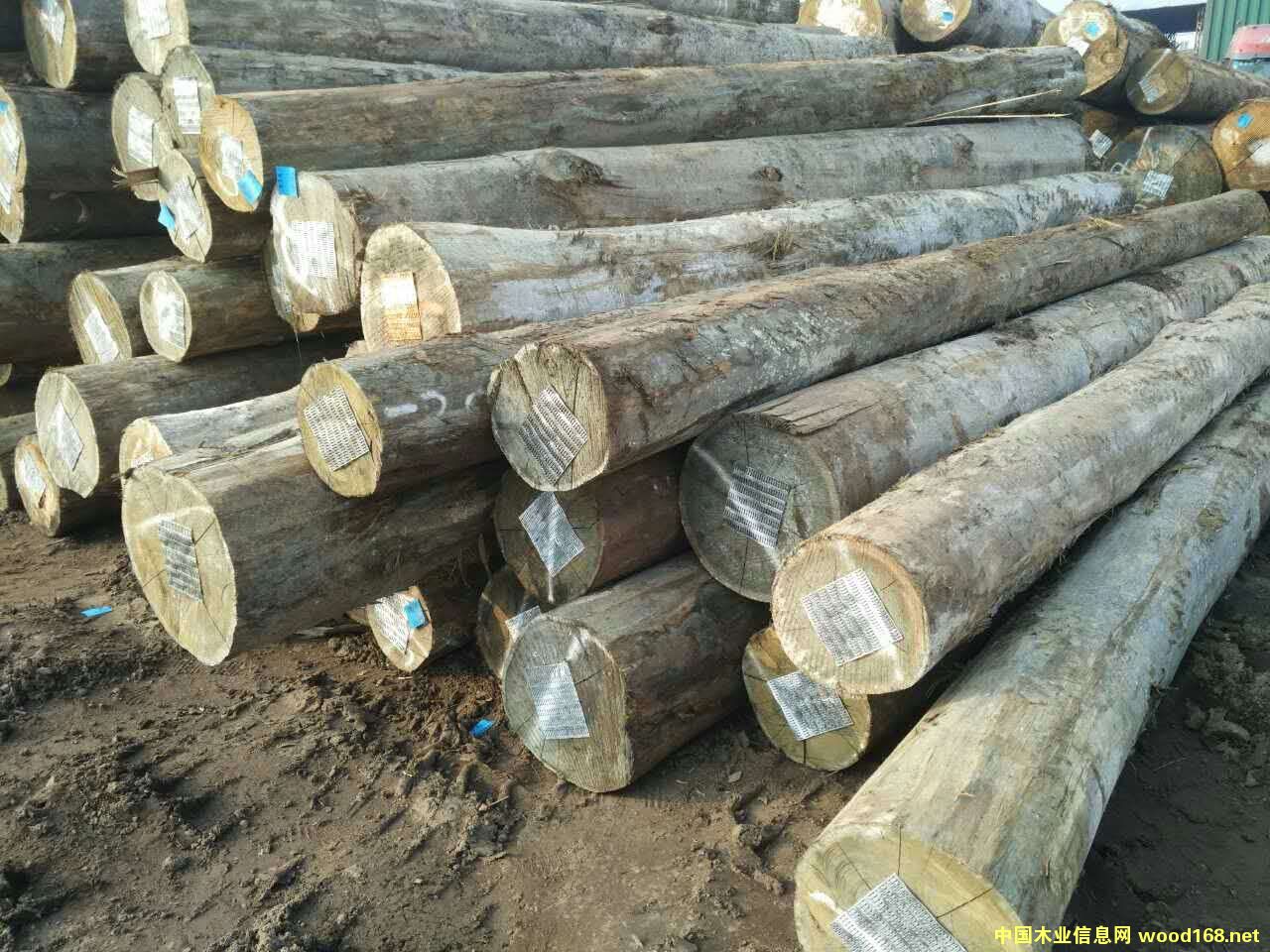 ������ԭľ��Ԕ��(x��)��B