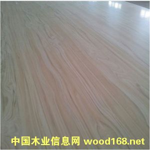 �������B(t��i)���Ԕ����B