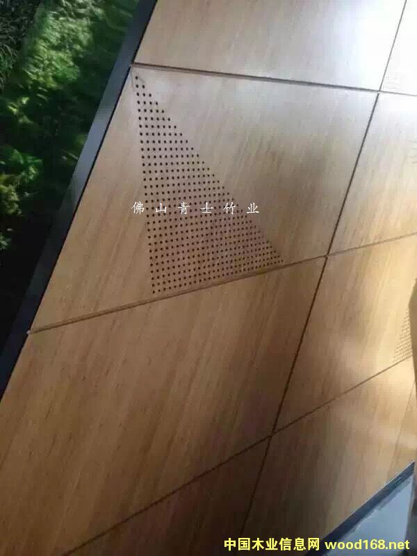 ��������Ԕ��(x��)��B