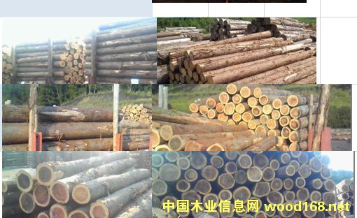 ɼľ��Ԕ��(x��)��B