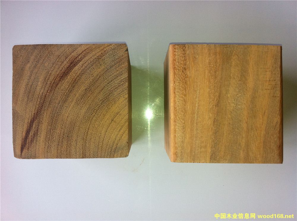 �c(di��n)���鿴���޲��}������Ȼ����ľ�Ŵ�DƬ