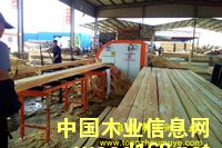 �Fɼ��������ľ����Ԕ����B