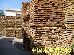 相思木的詳細(xì)介紹