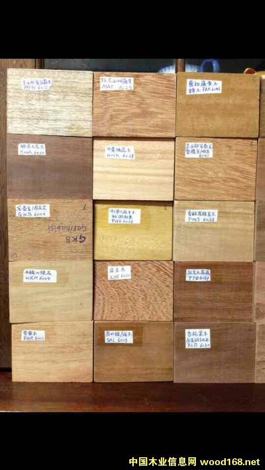 �K����11�Nľ�ĵ�Ԕ����B