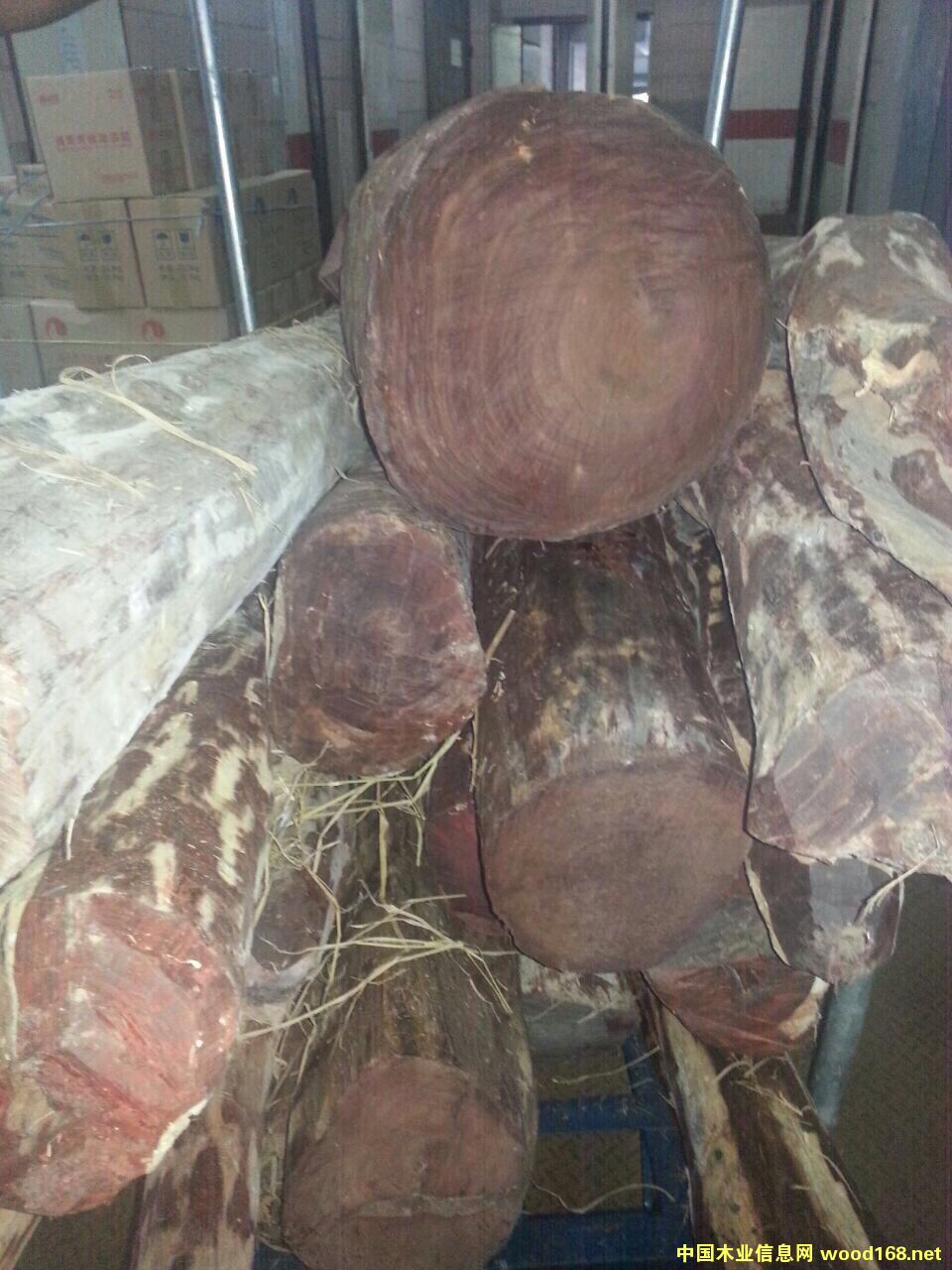 �����Ԕ��(x��)��B