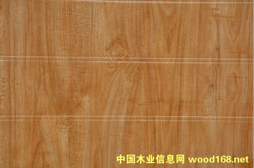 ���������X��Ϳ����Ԕ��(x��)��B