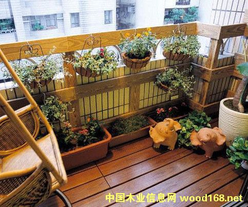 �c(di��n)���鿴̼��ľ�ذ�Ŵ�DƬ