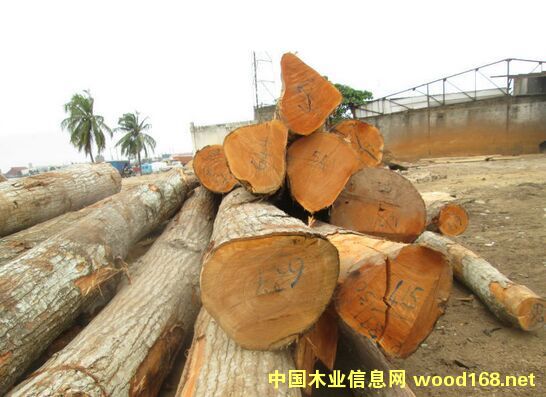 ���󴻵�Ԕ��(x��)��B