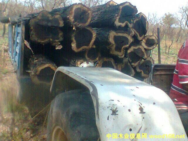 �Ӽ{��̴��Ԕ��(x��)��B