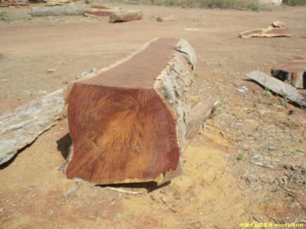 ������Ԕ��(x��)��B