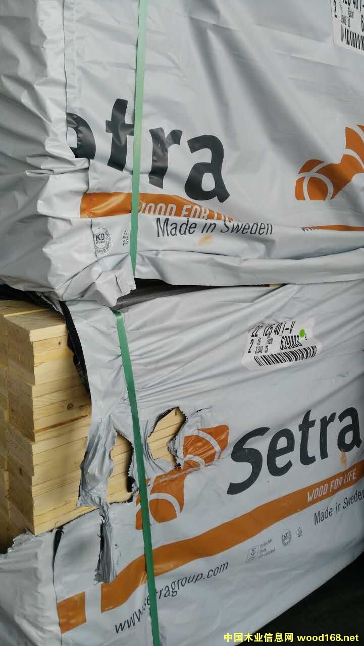 瑞典云杉的詳細(xì)介紹