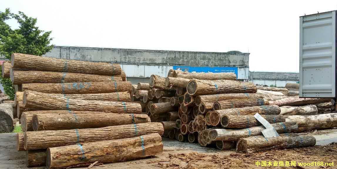 �c(di��n)���鿴�׃��3�Ŵ�DƬ