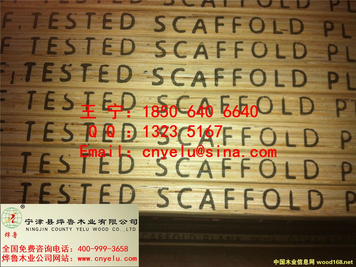 �c(di��n)���鿴��ľ�_̤��Ŵ�DƬ