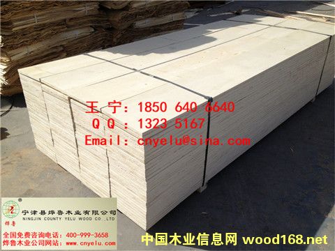 �c(di��n)���鿴��Ѭ��ľ���Ŵ�DƬ