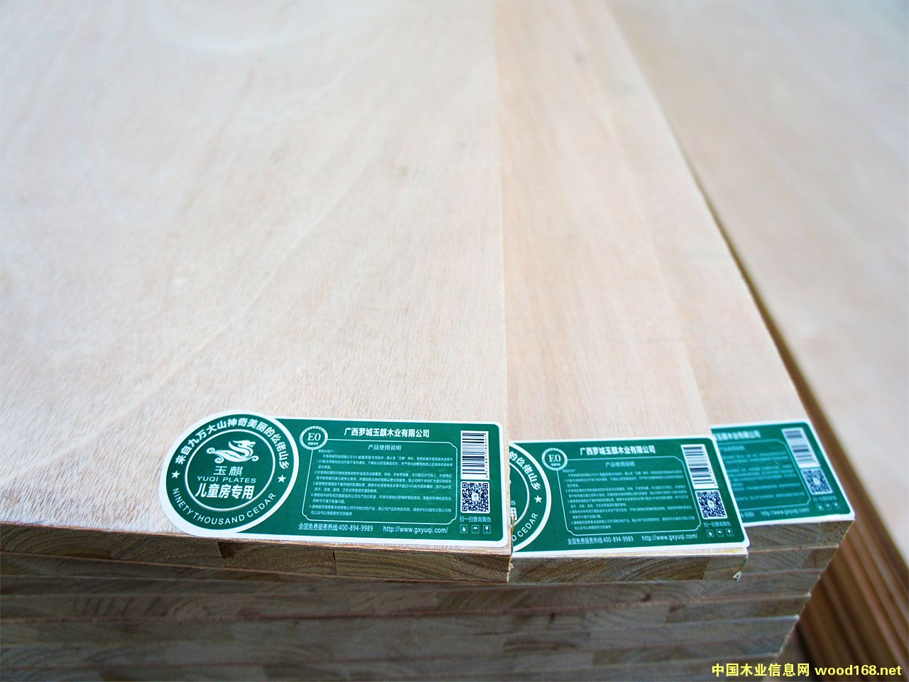 E0�����B(t��i)���Ԕ��(x��)��B