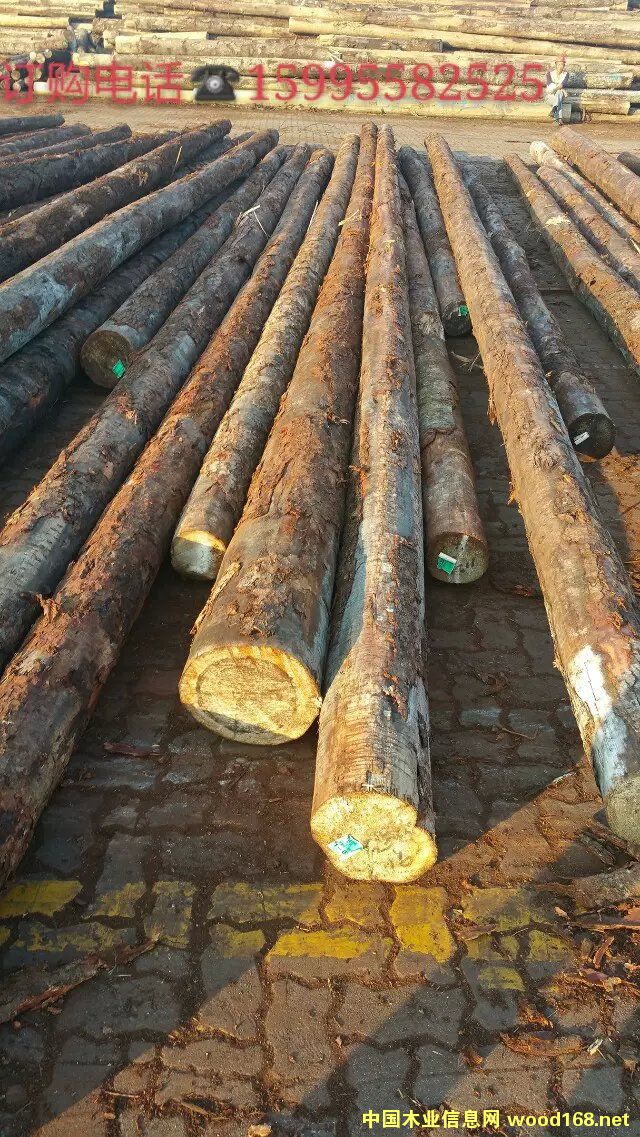 �c(di��n)���鿴�Fɼ�Ŵ�DƬ