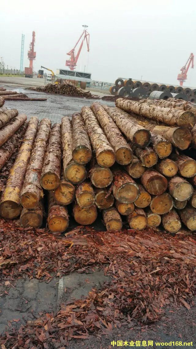 �c(di��n)���鿴���~�Ŵ�DƬ