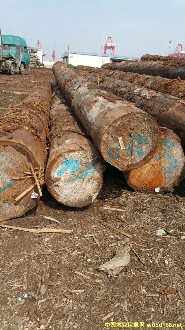 �c(di��n)���鿴���ô���Ŵ�DƬ