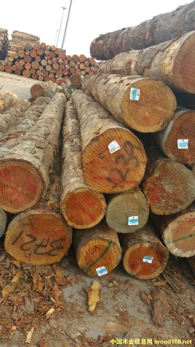 �c(di��n)���鿴�����m�����ɷŴ�DƬ