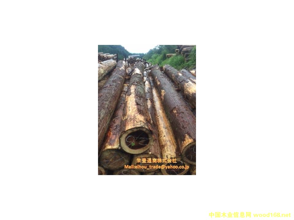 �ձ�ɼľԭľ(JAS)��Ԕ����B