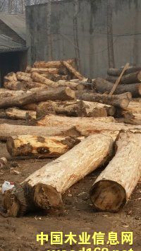 ��ľ��ĵ�Ԕ����B