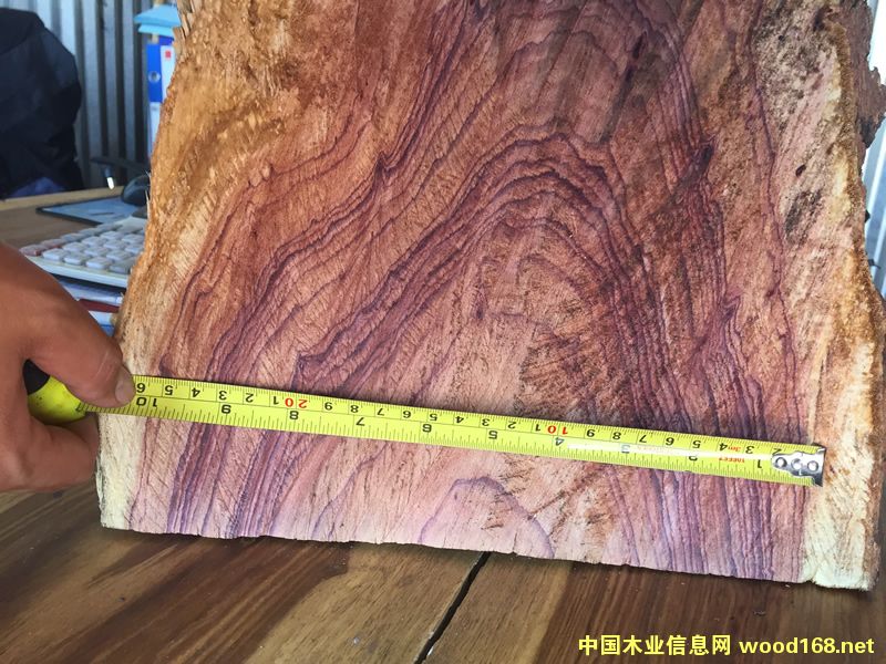 ZAMWINA ���Rľ��Ԕ��(x��)��B