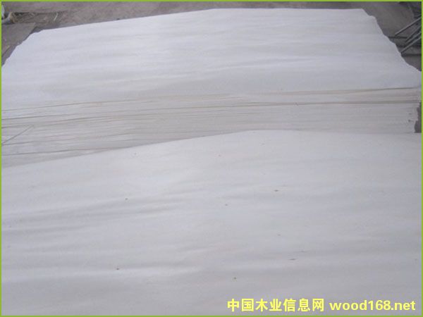 Ư�ח�ľ��Ƥ ��Ԕ��(x��)��B