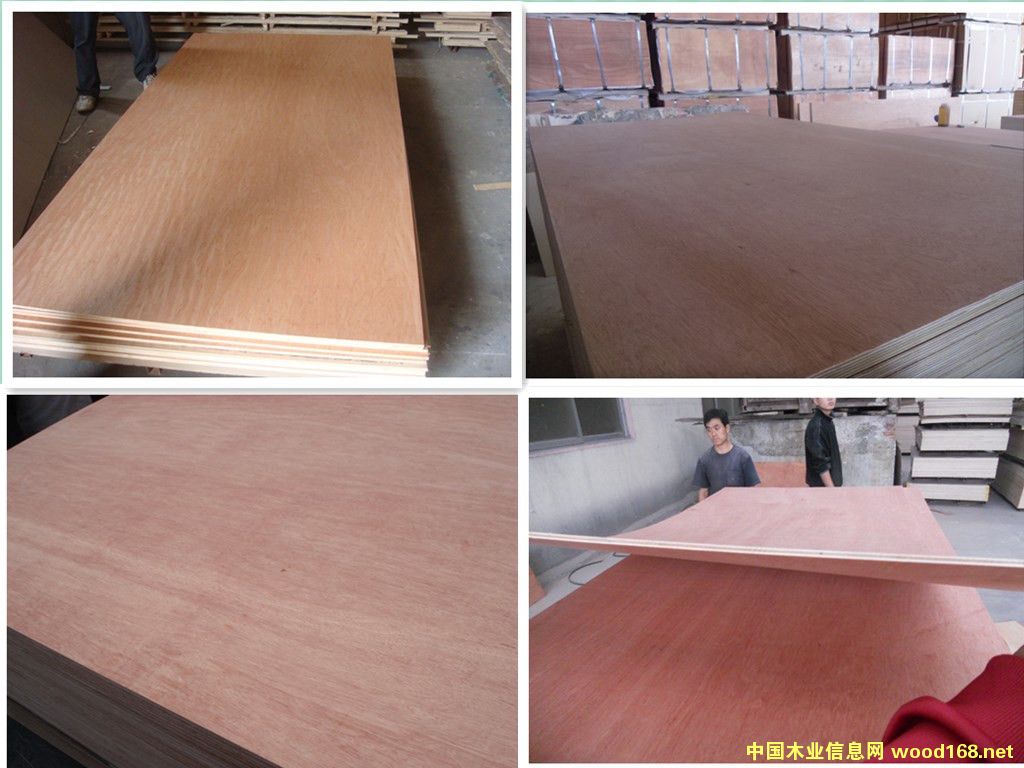 �Ҿ߼��e�z�ϰ�