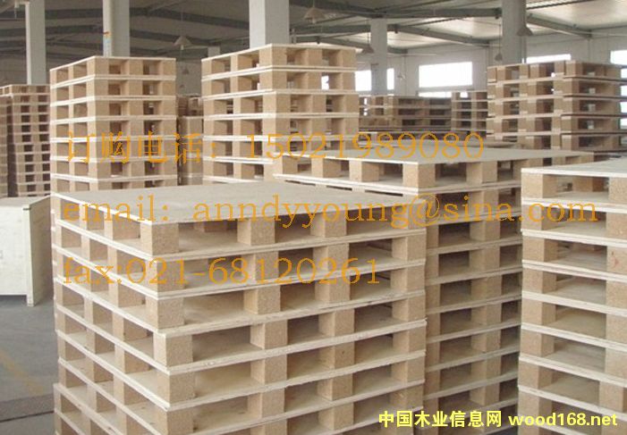 �Ϻ�������Ѭ���бP