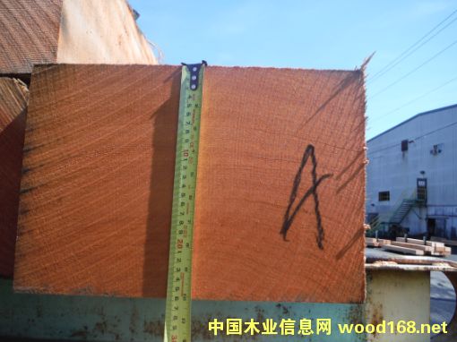 �����ɵ�Ԕ��(x��)��B