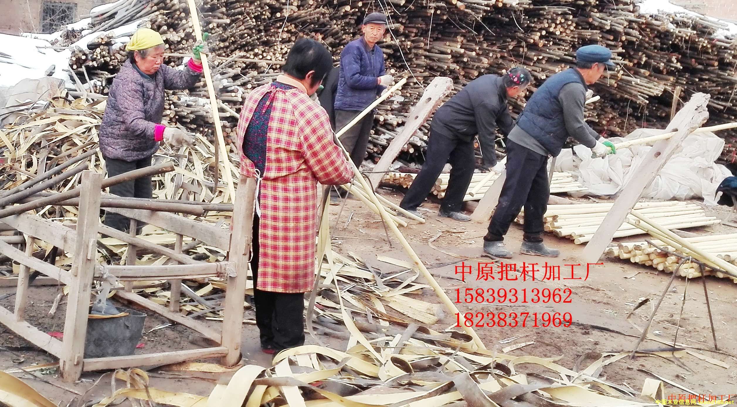 ���D�U, �ư�, �F�@��, �F���, ���, �N��