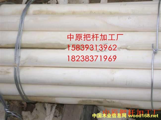 ���D�U, �ư�, �F�@��, �F���, ���, �N��