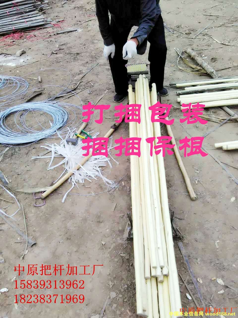 ���D�U, �ư�, �F�@��, �F���, ���, �N��