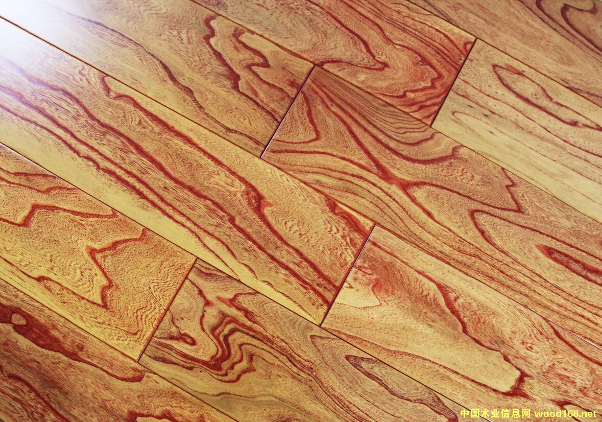 ��(sh��)ľ��(f��)�ϵذ��Ԕ��(x��)��B