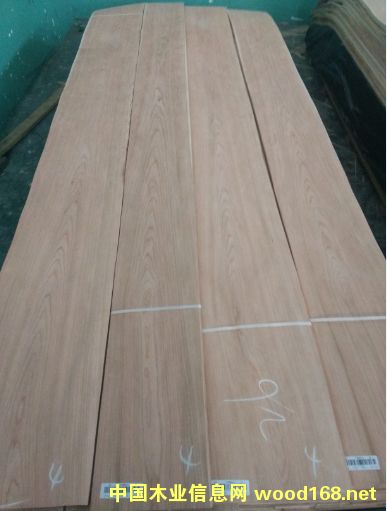 ��������ɽ�y��ȻľƤ��Ԕ����B