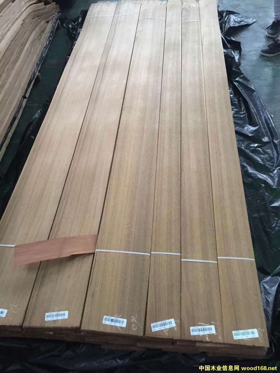 50�z��ľֱ�yľƤ��Ԕ����B