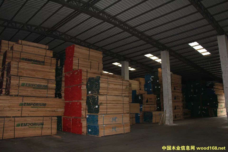 ����ľ�ĵ�Ԕ����B