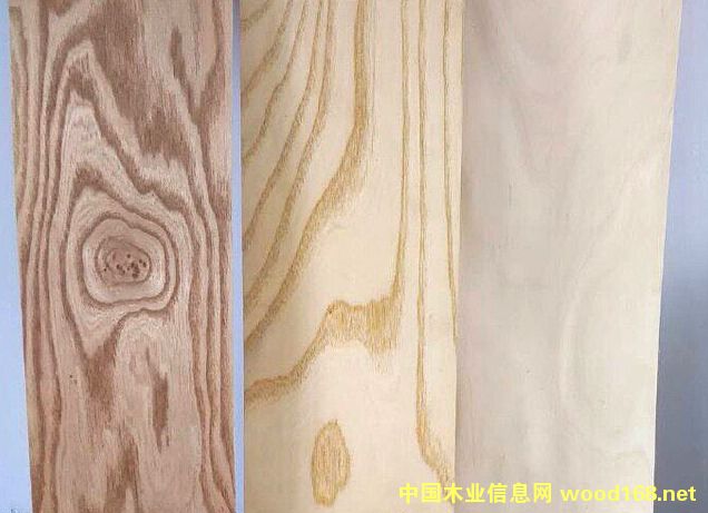 ��ľľƤ��Ԕ��(x��)��B