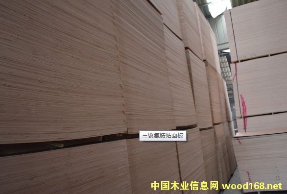 �����谷�N����Ԕ��(x��)��B