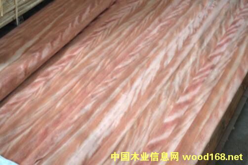 ����ľָ��ľƤ