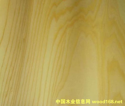 �ľ�����ϵ�Ԕ��(x��)��B